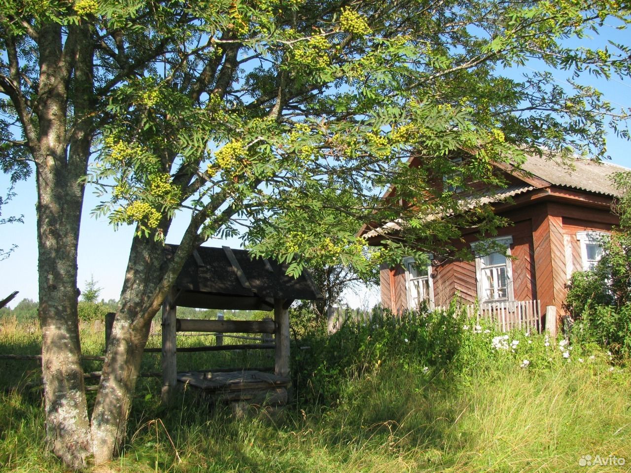 Деревня осташково тверская область фото
