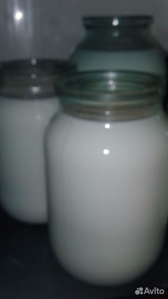Продам козье молоко купить на Зозу.ру - фотография № 1