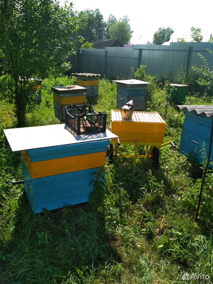 Пчеловодческая тележка купить на Зозу.ру - фотография № 7