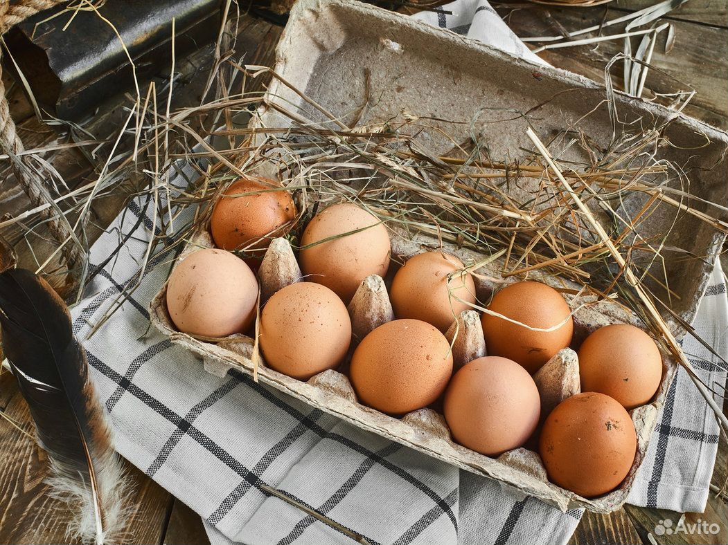 Продаю частное куриное яйцо купить на Зозу.ру - фотография № 1