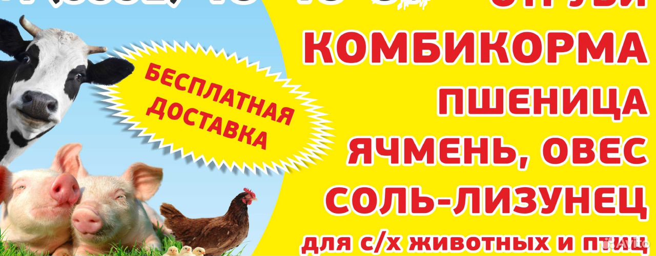 Комбикорма В гранулах, зерне, дроблённые купить на Зозу.ру - фотография № 1