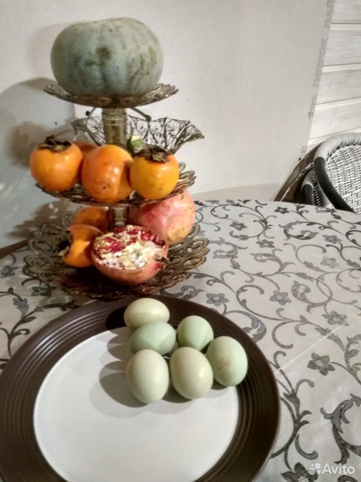 Куры китайские с оливковым и голубым яйцом купить на Зозу.ру - фотография № 3