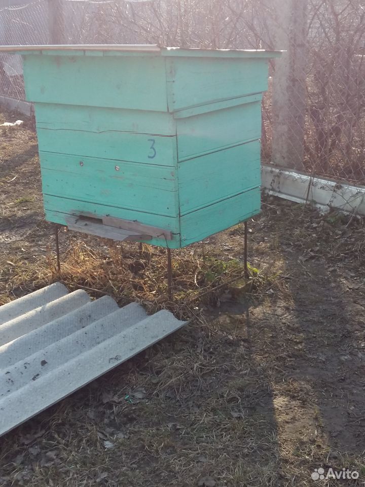 Улей с пчелами купить на Зозу.ру - фотография № 1