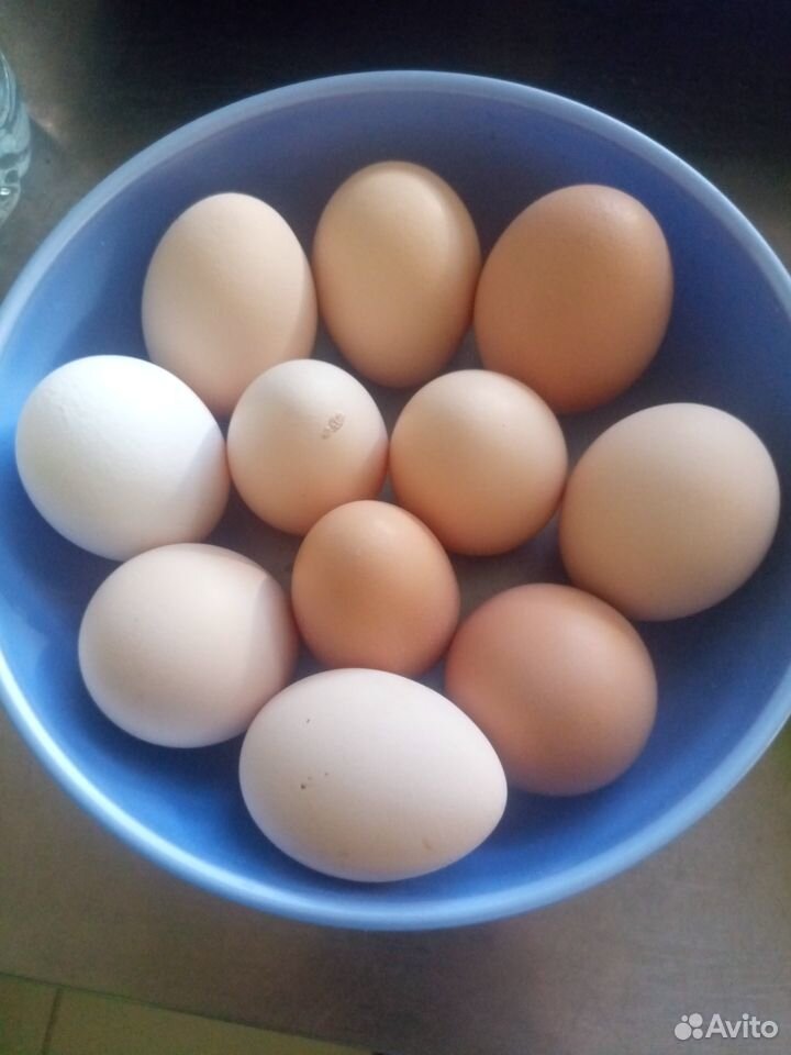 Домашние куриные яйца, творог, квашеная капуста, д купить на Зозу.ру - фотография № 2