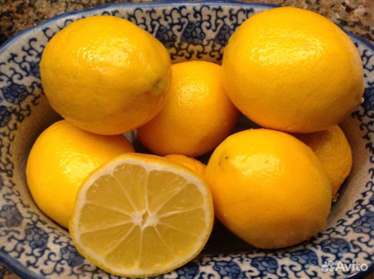 Продам лимонное дерево купить на Зозу.ру - фотография № 1