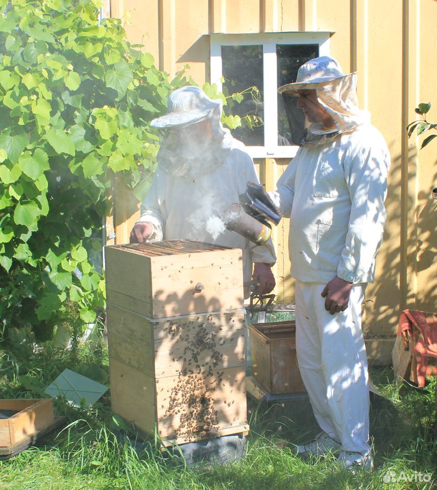 Улей многокорпусный корпуса рамки для пчел купить на Зозу.ру - фотография № 2