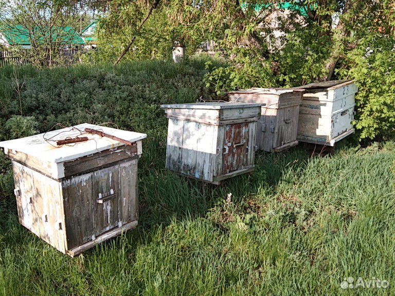 Ульи б/у, раздвижная платформа для перевозки пчёл купить на Зозу.ру - фотография № 5
