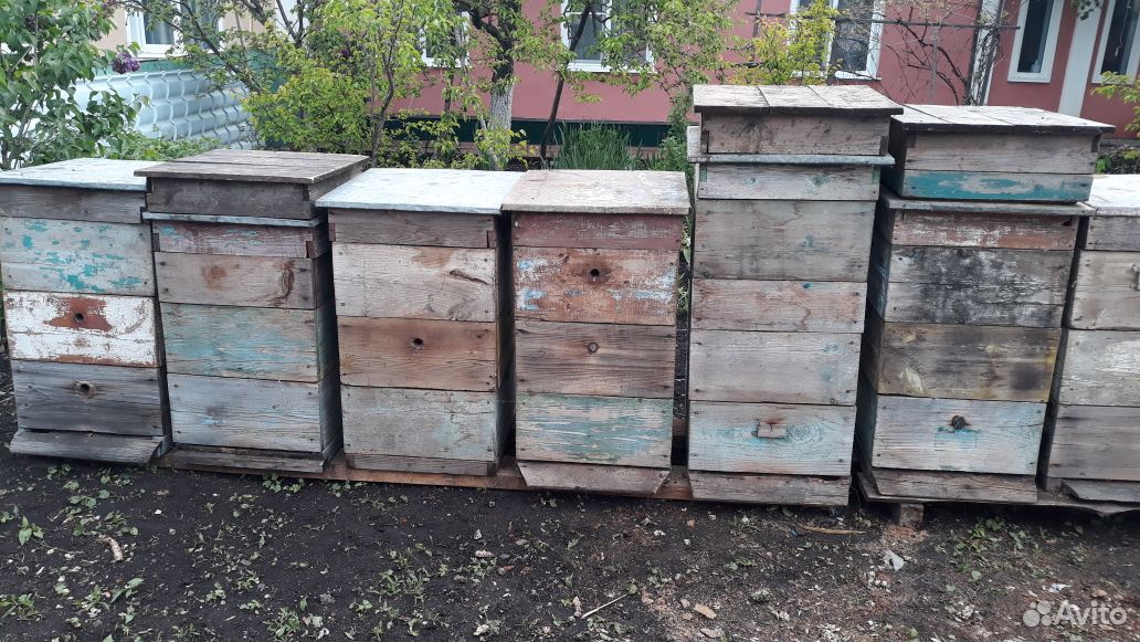 Ульи Рута для пчелосемей купить на Зозу.ру - фотография № 1