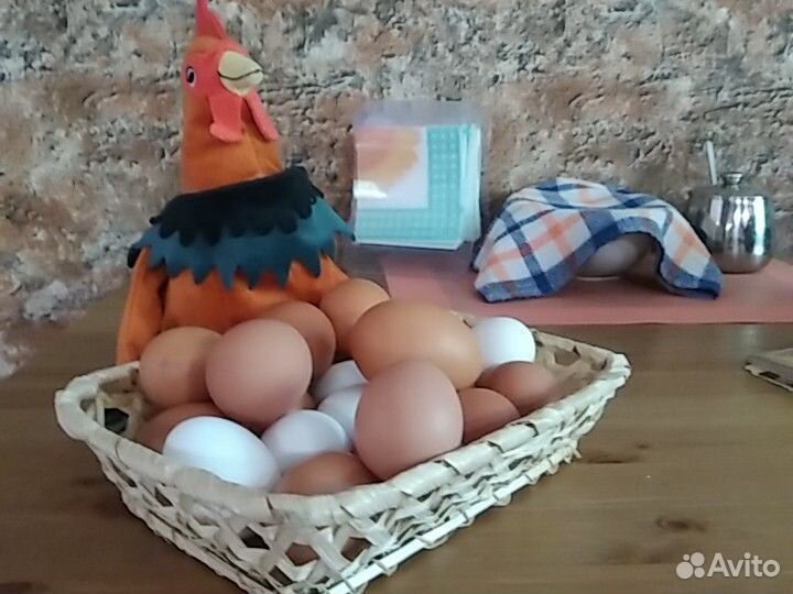Яйца купить на Зозу.ру - фотография № 3