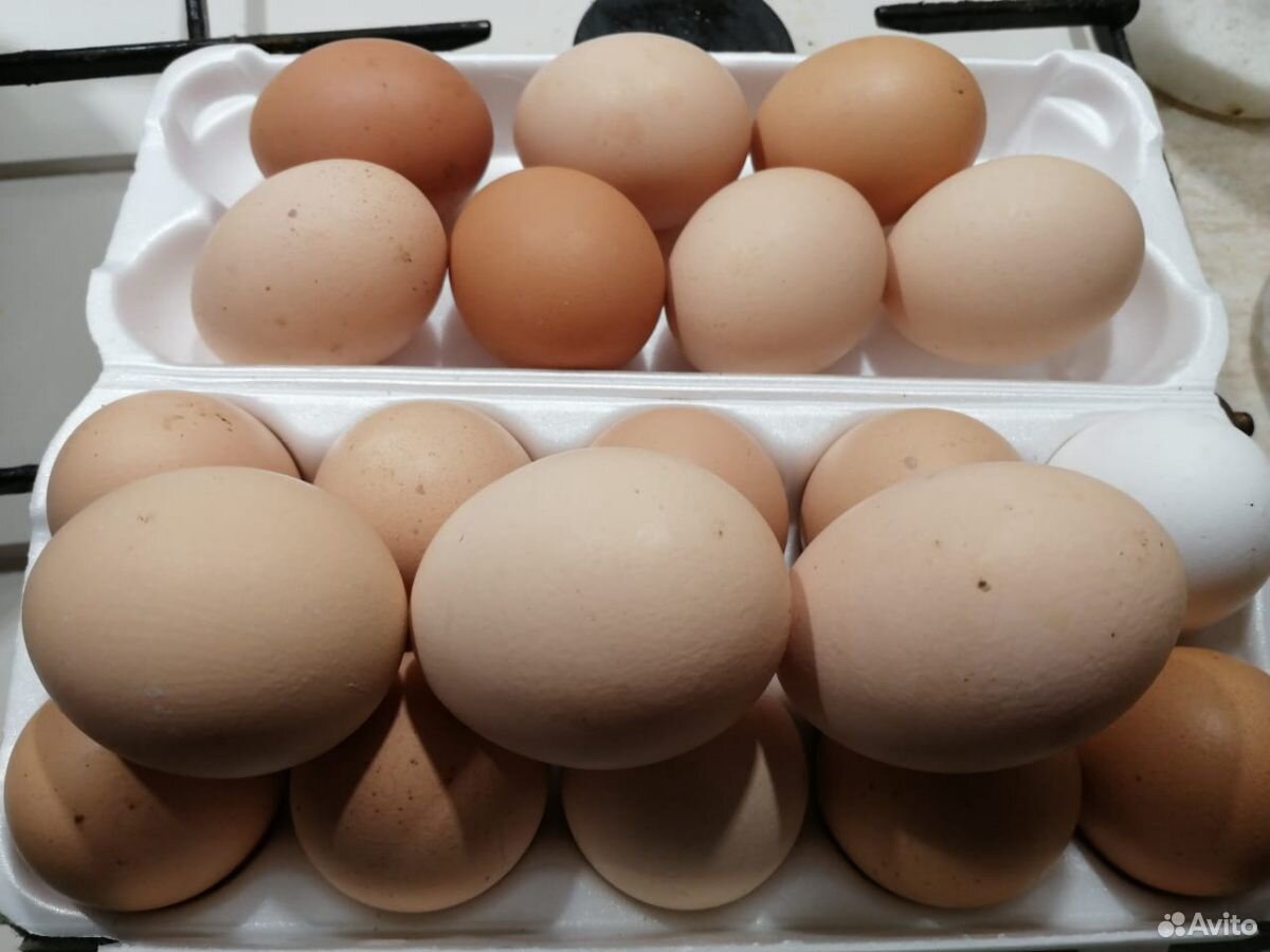 Яйца деревенские купить на Зозу.ру - фотография № 3