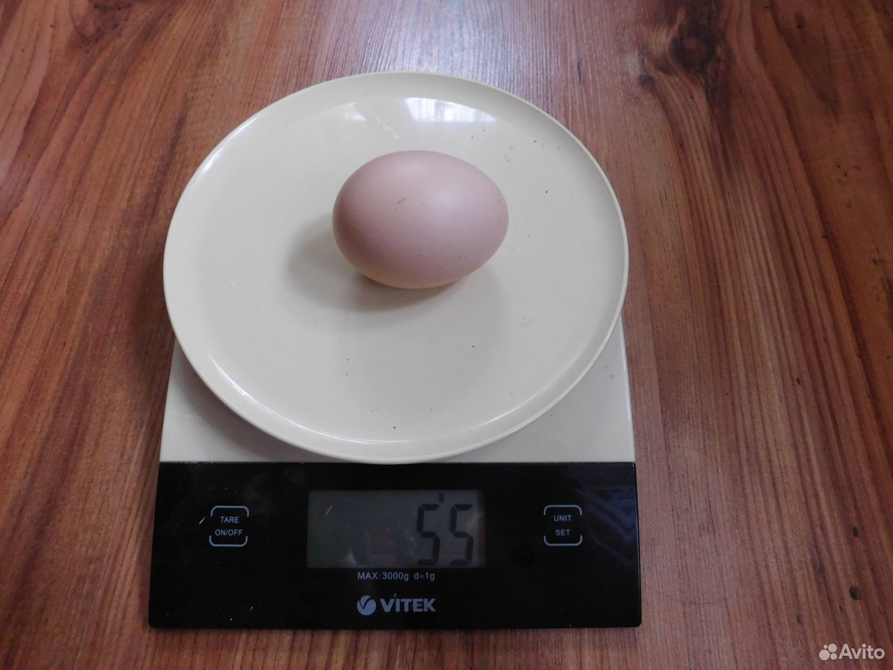 Инкубационное куриное яйцо купить на Зозу.ру - фотография № 2