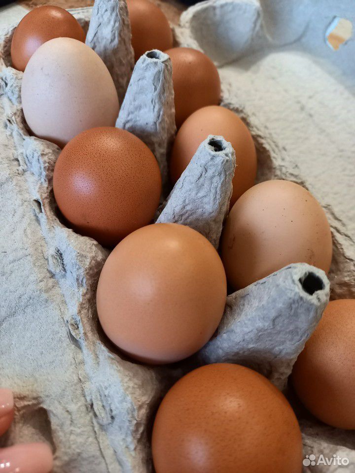 Яйца деревенсеие купить на Зозу.ру - фотография № 2