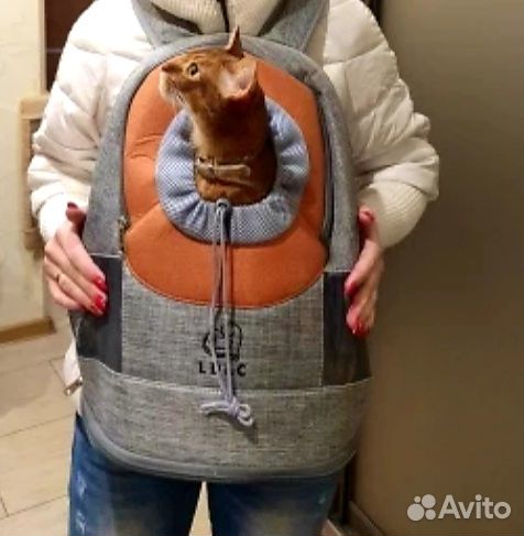 Рюкзак для переноски животных новый купить на Зозу.ру - фотография № 5