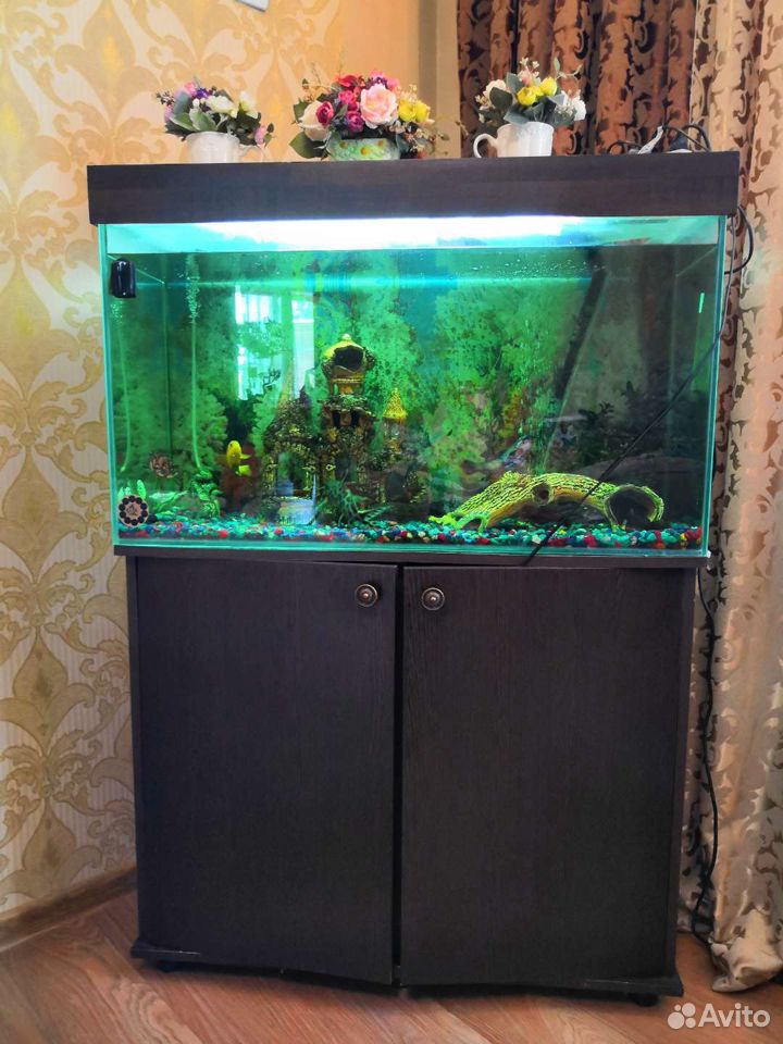 Продам аквариум с тумбой и оборудованием купить на Зозу.ру - фотография № 3
