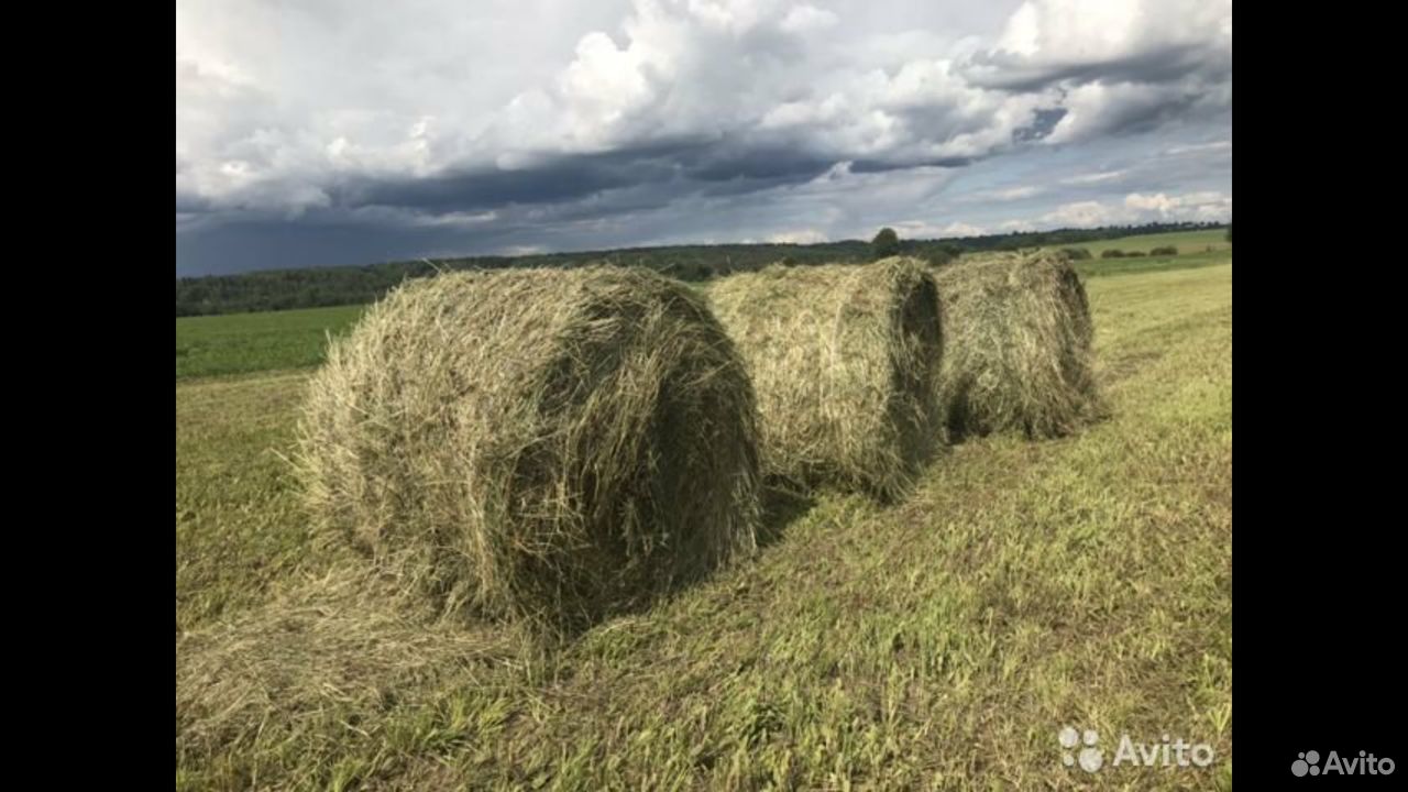 Купить Сено В Крыму Белогорский