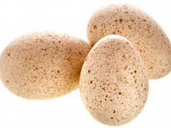 Инкубационные яйца индейки