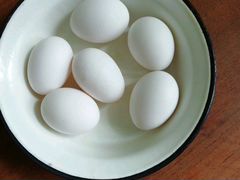 Яйцо инкубационное белое Леггорн