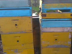 Домики для пчел