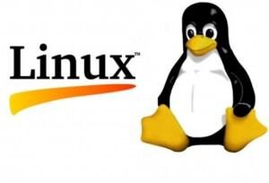 Установка и настройка операционных систем Линукс