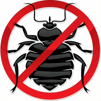 Уничтожения насекомых клопы тараканы