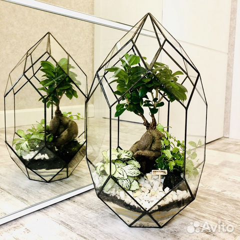 Флорариум с бонсай