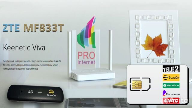 Роутер keenetic Viva + ZTE MF833T