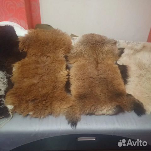 Шкуры овечьи