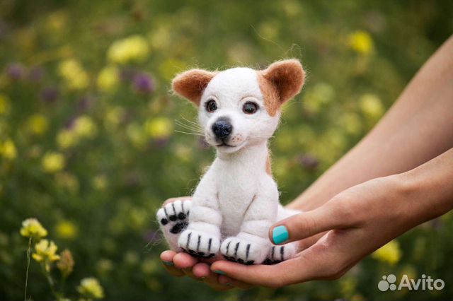 Пёсик сухое валяние валяный пёсик