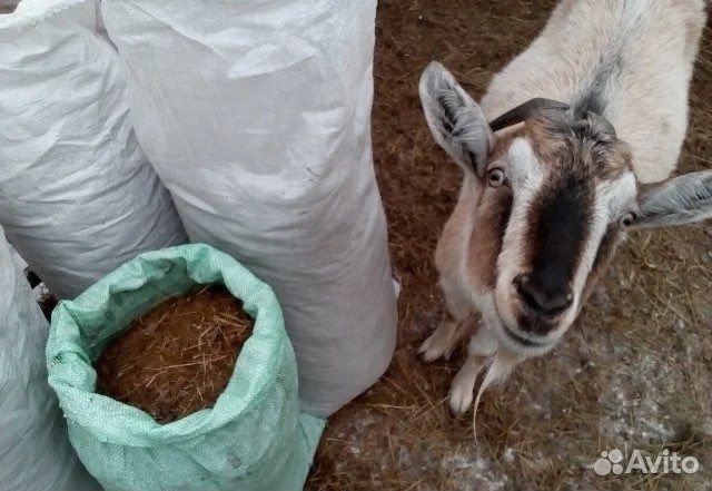 Навоз козий