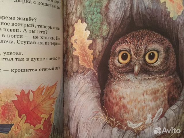 Картинки природы в сказках Картинки природы в сказках