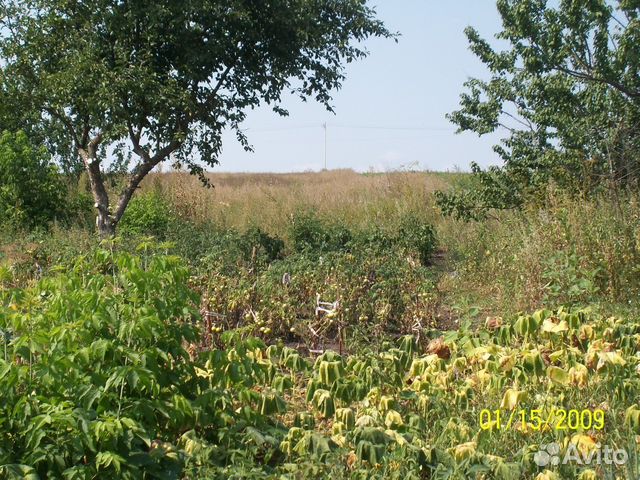 Погода в курске д млодать курская область. Деревня Млодать Курская область.