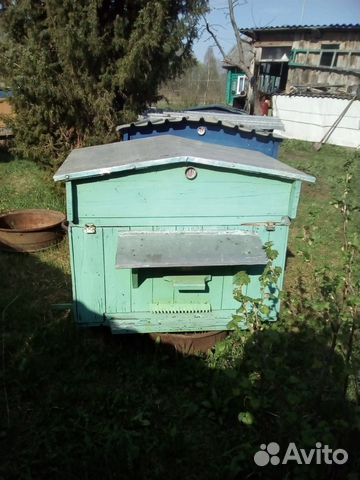 Улей для пчел "Лежак", можно с пчелой купить на Зозу.ру - фотография № 2