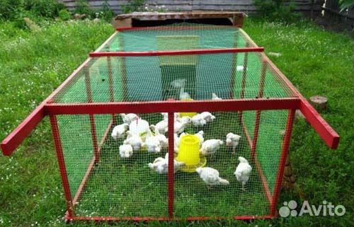 Сетка укрывная, вольерная для домашней птицы 4х5 м