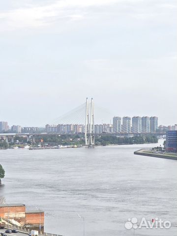 

Квартира-студия, 23,5 м², 1 кровать