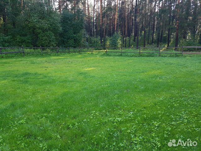 Зоогостиница. Гостиница для собак и кошек