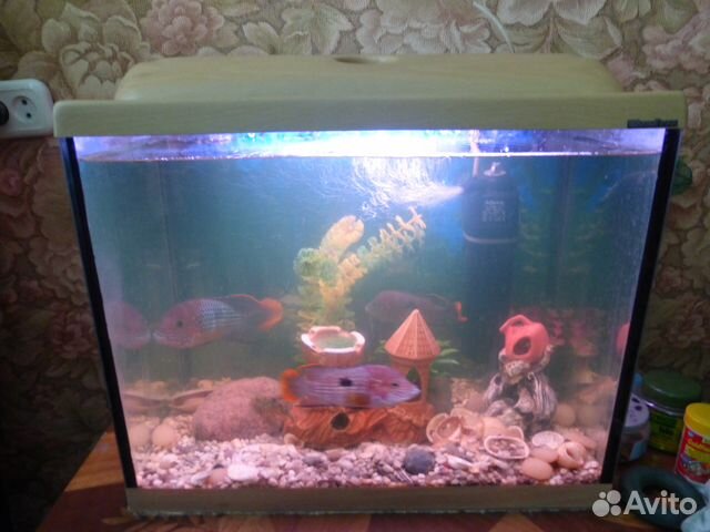 Продам аквариум 55л