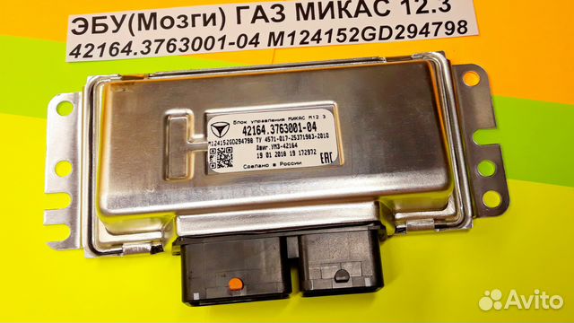 Эбу Мозги на Газ Микас 12.3 42164.3763001-04