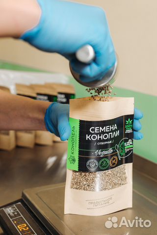 Семена конопли 