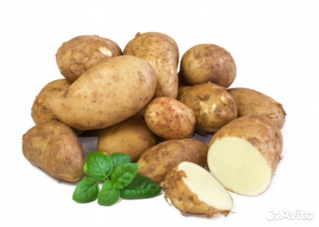 Картофель со своего огорода
