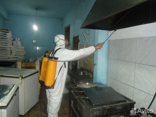 Уничтожение клопов,тараканов,крыс,блох Уничтожение клопов,тараканов,крыс,блох