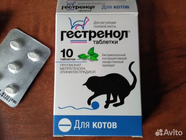 Гестренол для регуляции половой охоты котов купить на Зозу.ру - фотография № 1