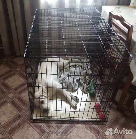 Клетка для собак купить на Зозу.ру - фотография № 3