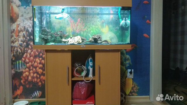 Распродаю аквариум Juwel Rio 180 купить на Зозу.ру - фотография № 3