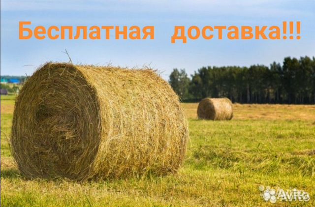 Продам сено в рулонах