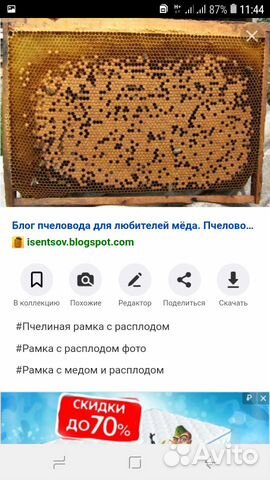 Пчелопакеты 1 рамка 1тыс купить на Зозу.ру - фотография № 1