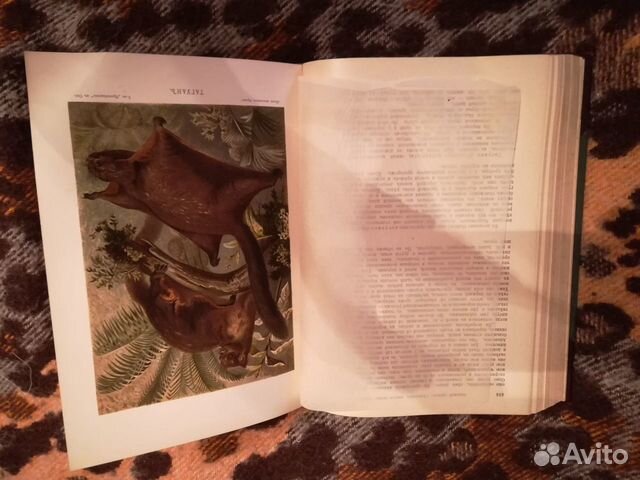 Трехтомник Брэм, Жизнь животных