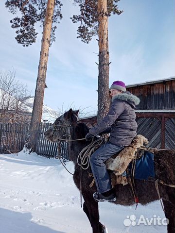 Лошадь и жеребята купить на Зозу.ру - фотография № 4