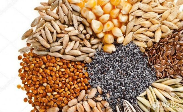 Пшеница ячмень комбикорма дробленка гранулы