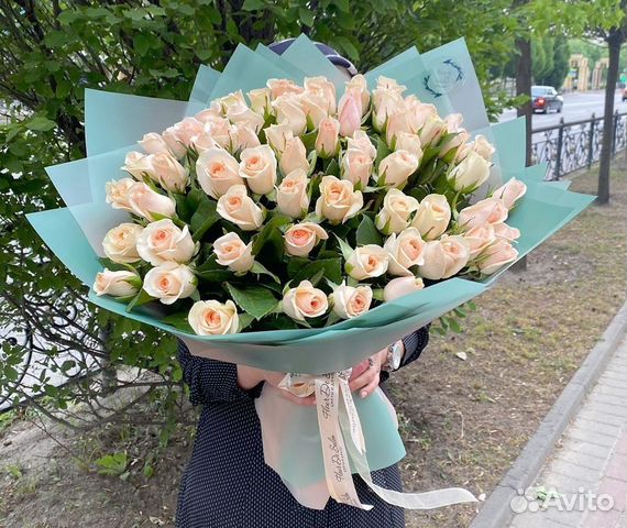 101 Роза 101 Роза