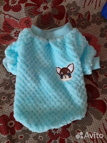 Одежда для собак